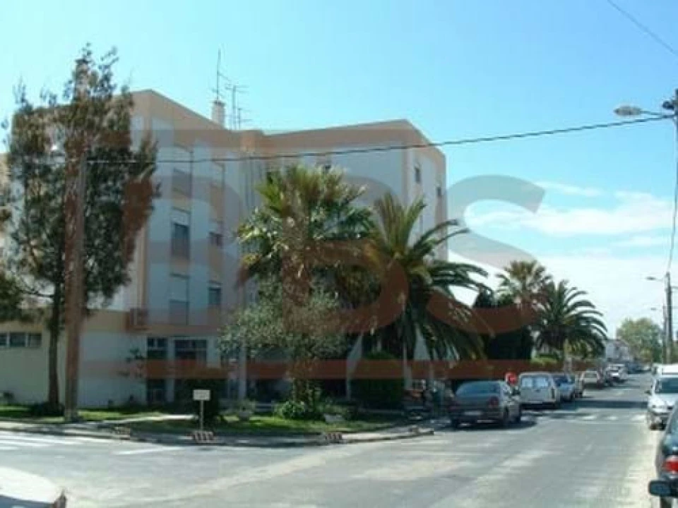 Terreno para Venda em Marinhais Foto 11