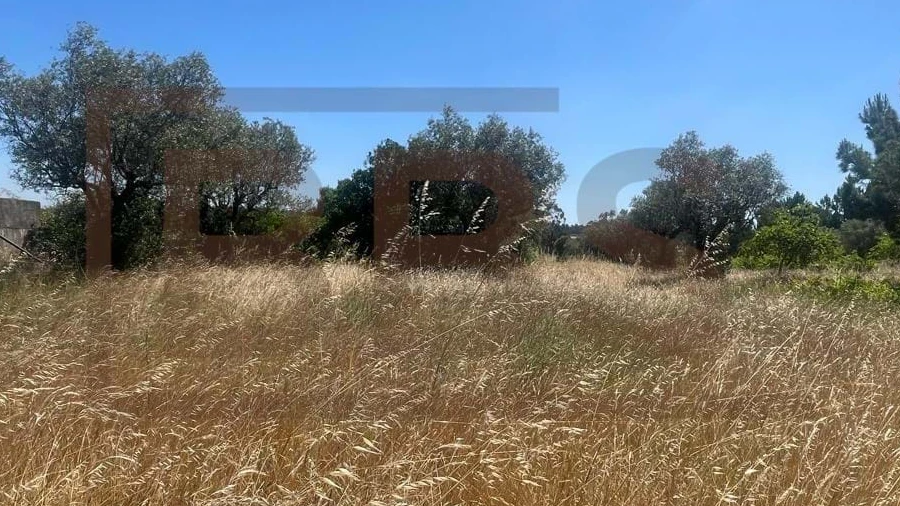Terreno para Venda em Marinhais