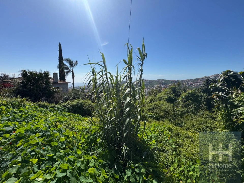 Terreno para Venda em Santo Antonio Foto 2