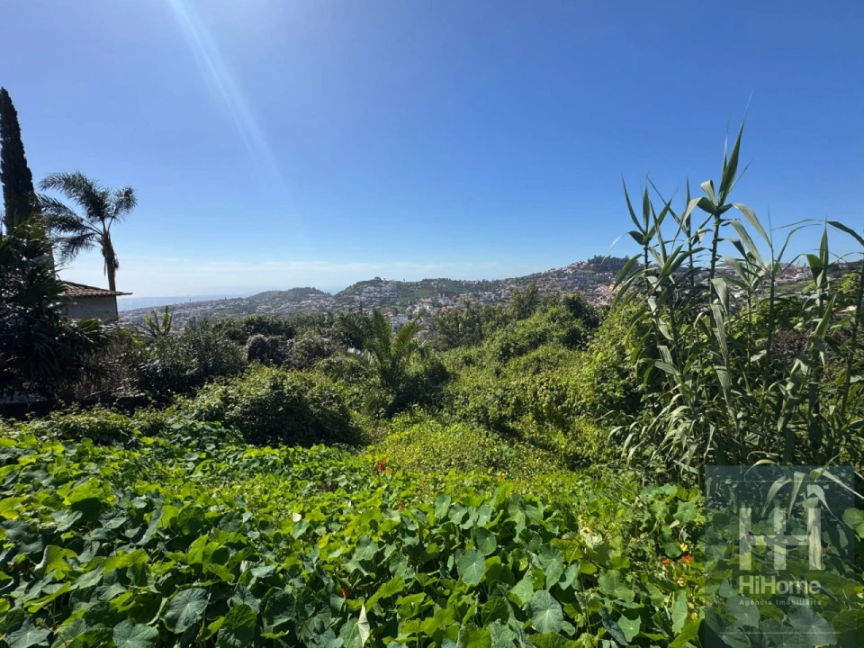 Terreno para Venda em Santo Antonio Foto 3