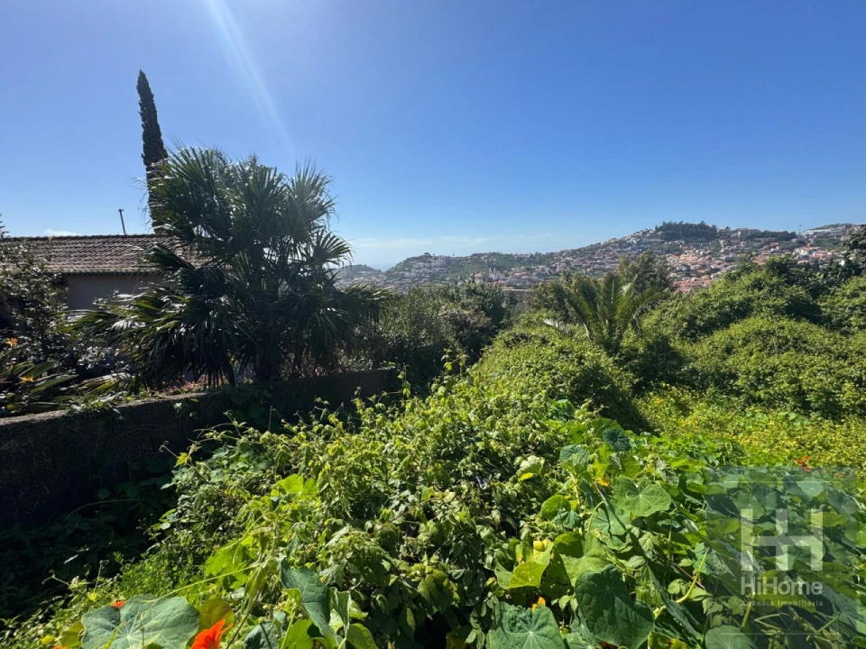 Terreno para Venda em Santo Antonio Foto 7