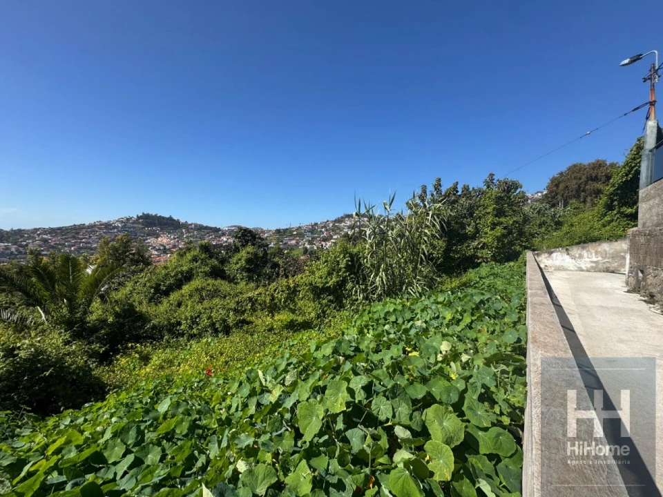 Terreno para Venda em Santo Antonio Foto 9