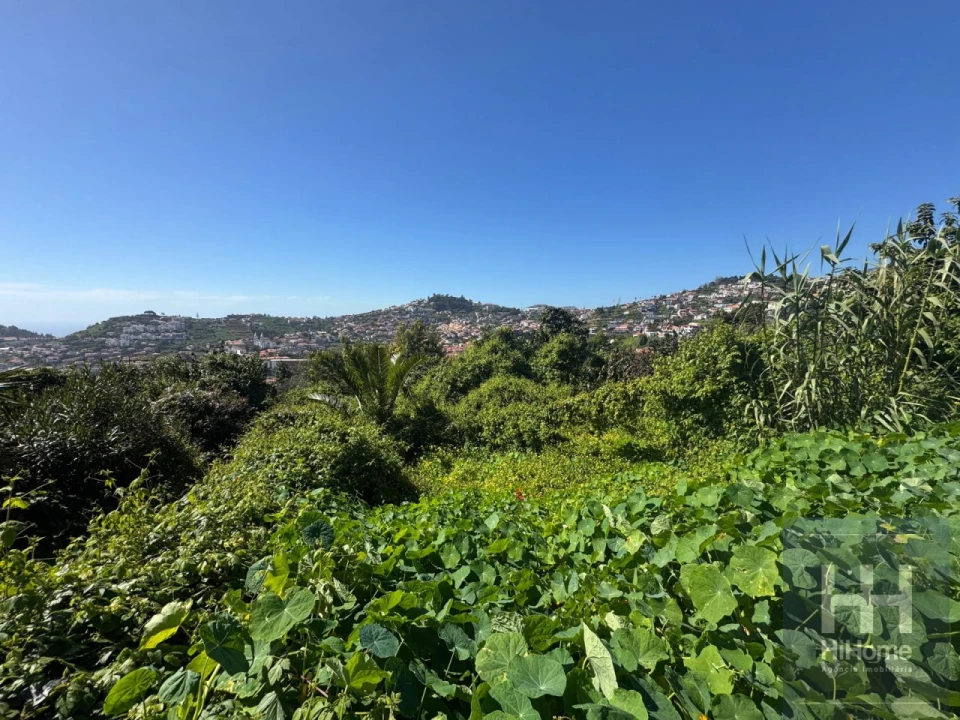 Terreno para Venda em Santo Antonio Foto 5