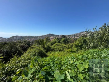 Terreno para Venda em Santo Antonio