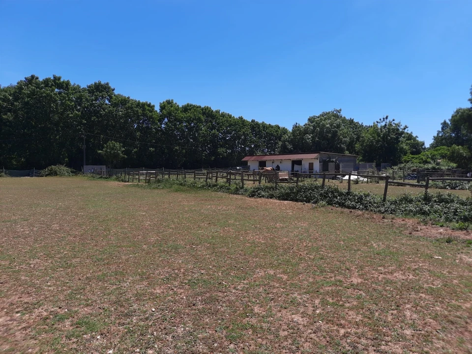 Terreno Agricola ou Rústico para Venda em São Martinho do Bispo e Ribeira de Frades Foto 8