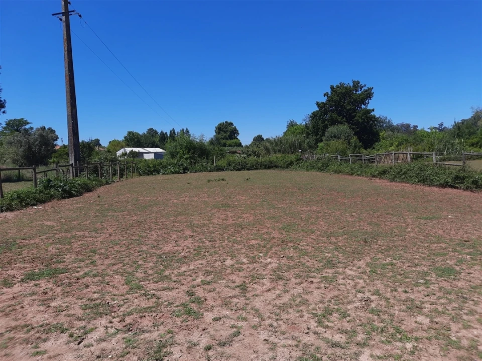 Terreno Agricola ou Rústico para Venda em São Martinho do Bispo e Ribeira de Frades Foto 10