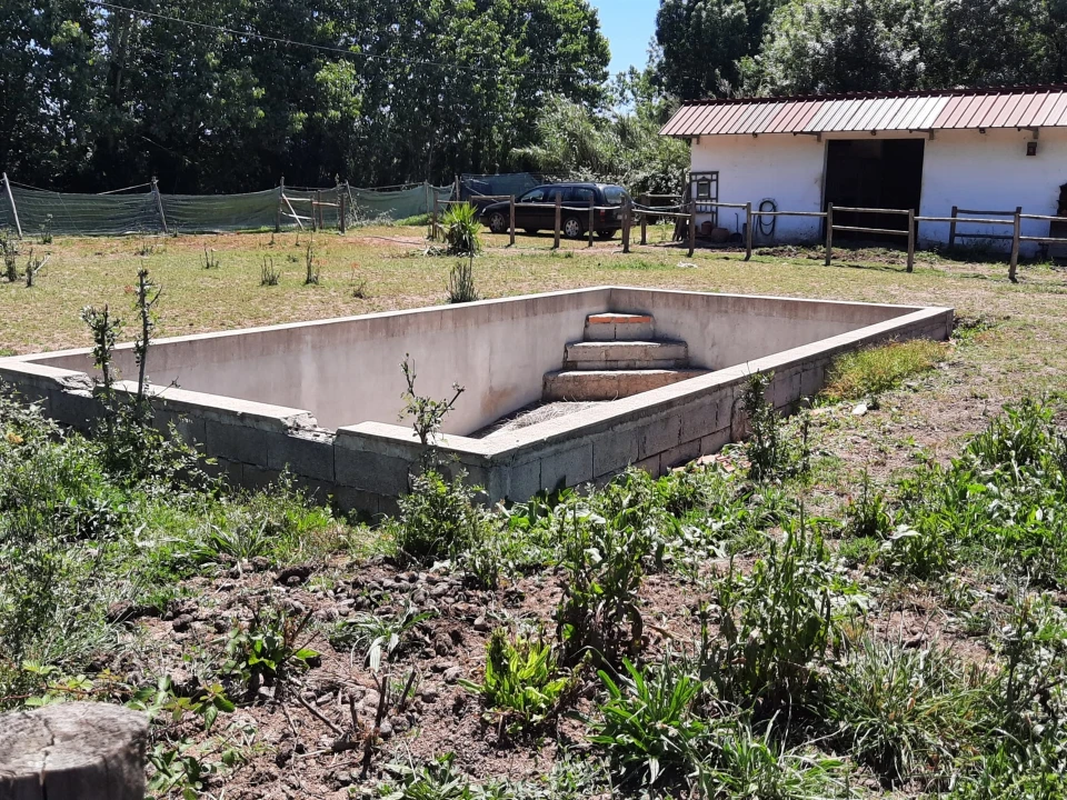 Terreno Agricola ou Rústico para Venda em São Martinho do Bispo e Ribeira de Frades Foto 5
