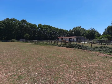 Terreno Agricola ou Rústico para Venda em São Martinho do Bispo e Ribeira de Frades