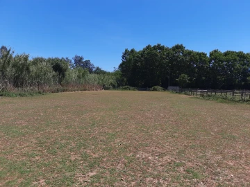 Terreno Agricola ou Rústico para Venda em São Martinho do Bispo e Ribeira de Frades