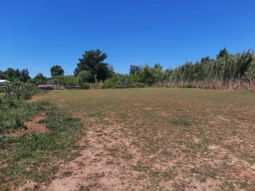 Terreno Agricola ou Rústico para Venda em São Martinho do Bispo e Ribeira de Frades
