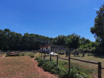 Terreno Agricola ou Rústico para Venda em São Martinho do Bispo e Ribeira de Frades