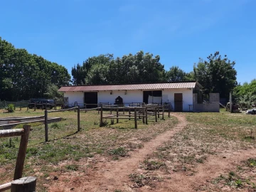 Terreno Agricola ou Rústico para Venda em São Martinho do Bispo e Ribeira de Frades