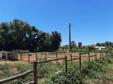 Terreno Agricola ou Rústico para Venda em São Martinho do Bispo e Ribeira de Frades