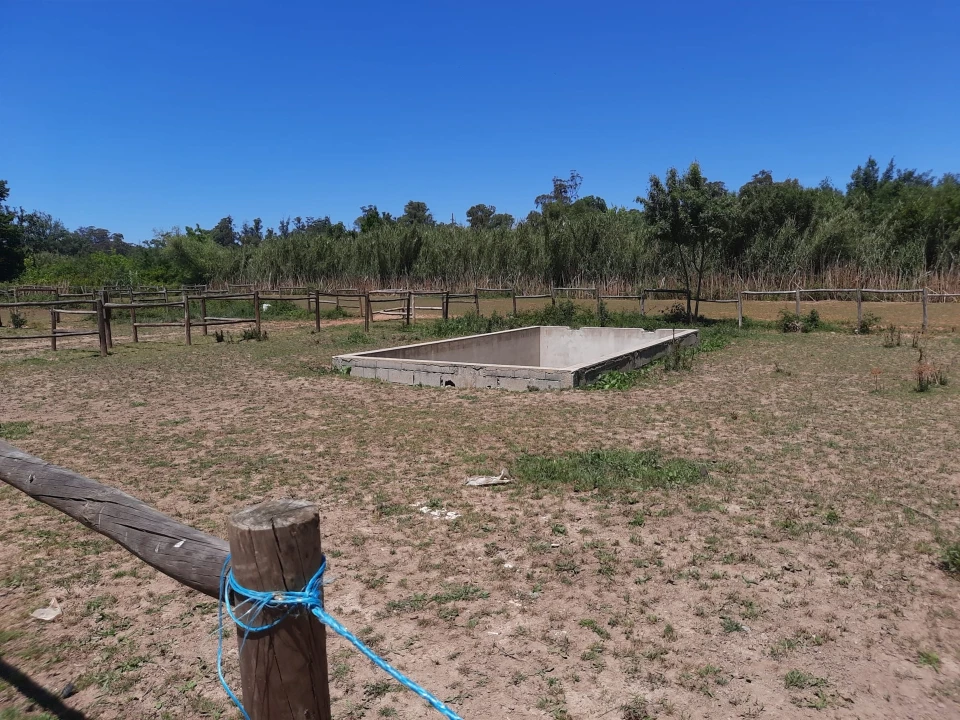 Terreno Agricola ou Rústico para Venda em São Martinho do Bispo e Ribeira de Frades Foto 4