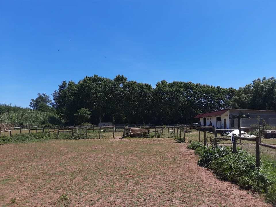 Terreno Agricola ou Rústico para Venda em São Martinho do Bispo e Ribeira de Frades Foto 14
