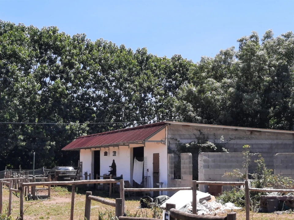 Terreno Agricola ou Rústico para Venda em São Martinho do Bispo e Ribeira de Frades Foto 3