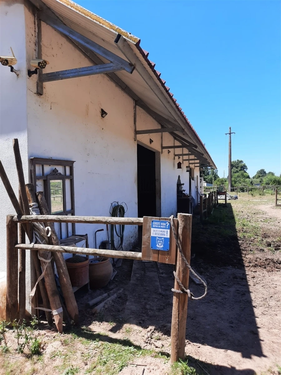 Terreno Agricola ou Rústico para Venda em São Martinho do Bispo e Ribeira de Frades Foto 2