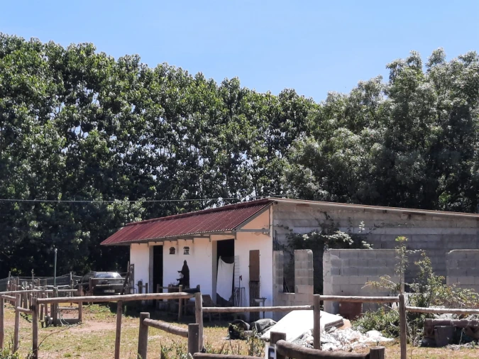Terreno Agricola ou Rústico para Venda em São Martinho do Bispo e Ribeira de Frades Foto 3