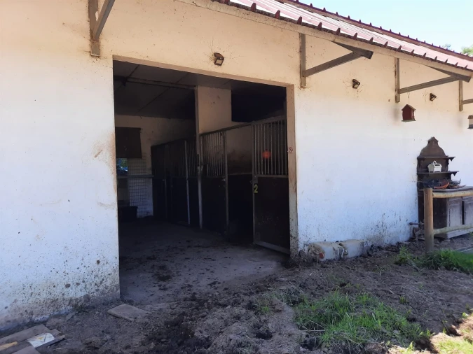 Terreno Agricola ou Rústico para Venda em São Martinho do Bispo e Ribeira de Frades Foto 7