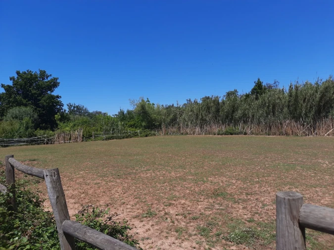Terreno Agricola ou Rústico para Venda em São Martinho do Bispo e Ribeira de Frades Foto 11