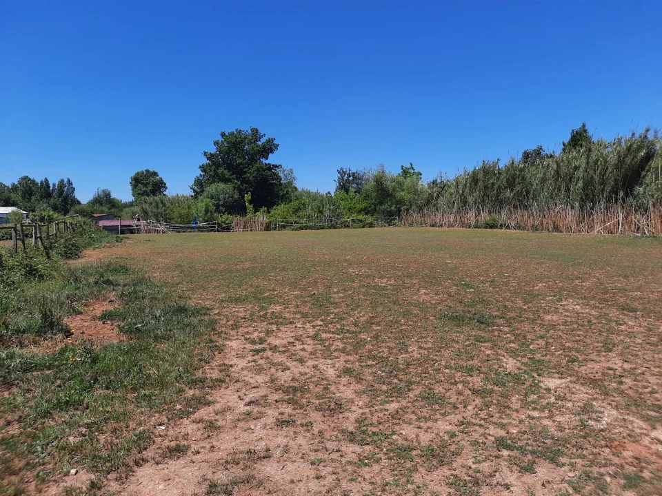 Terreno Agricola ou Rústico para Venda em São Martinho do Bispo e Ribeira de Frades Foto 16
