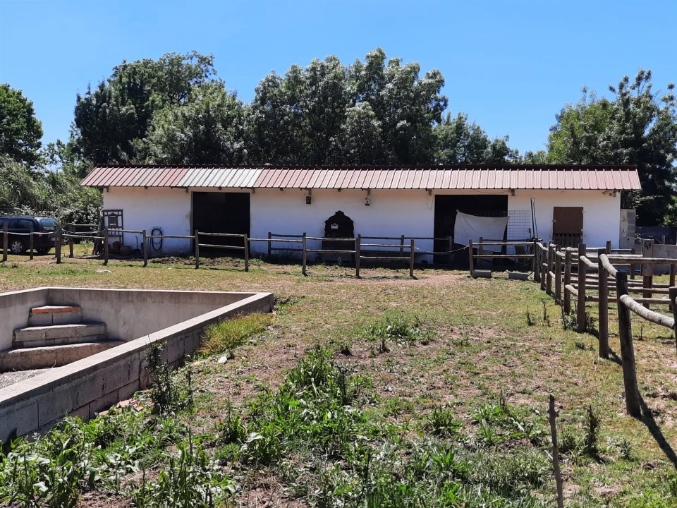 Terreno Agricola ou Rústico para Venda em São Martinho do Bispo e Ribeira de Frades Foto 1