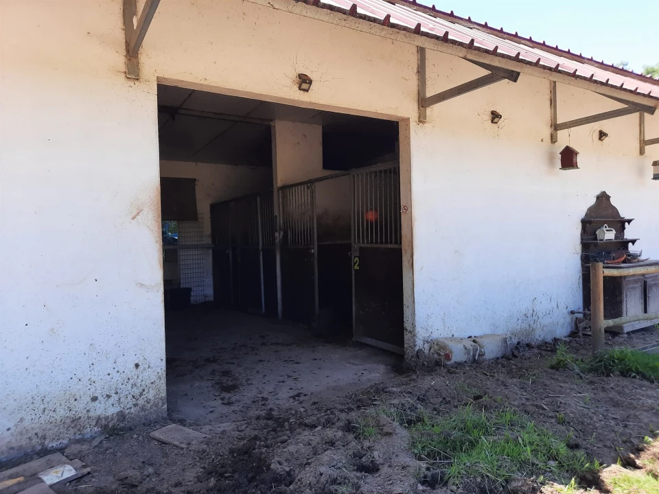 Terreno Agricola ou Rústico para Venda em São Martinho do Bispo e Ribeira de Frades Foto 7