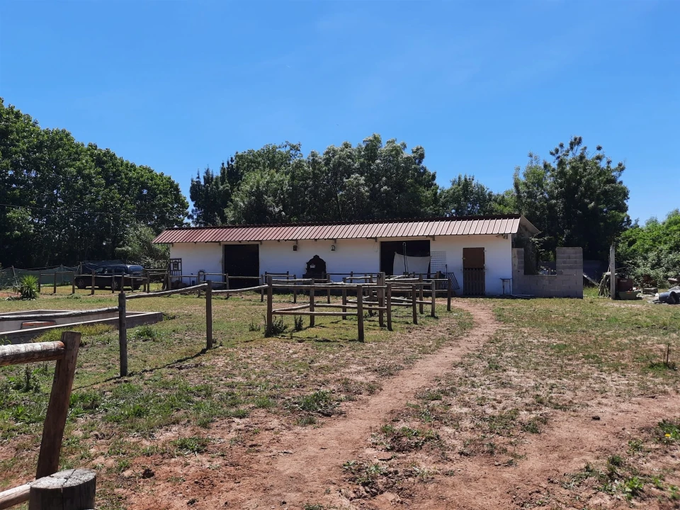 Terreno Agricola ou Rústico para Venda em São Martinho do Bispo e Ribeira de Frades Foto 9