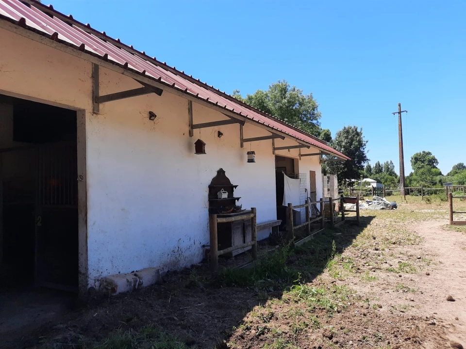 Terreno Agricola ou Rústico para Venda em São Martinho do Bispo e Ribeira de Frades Foto 6