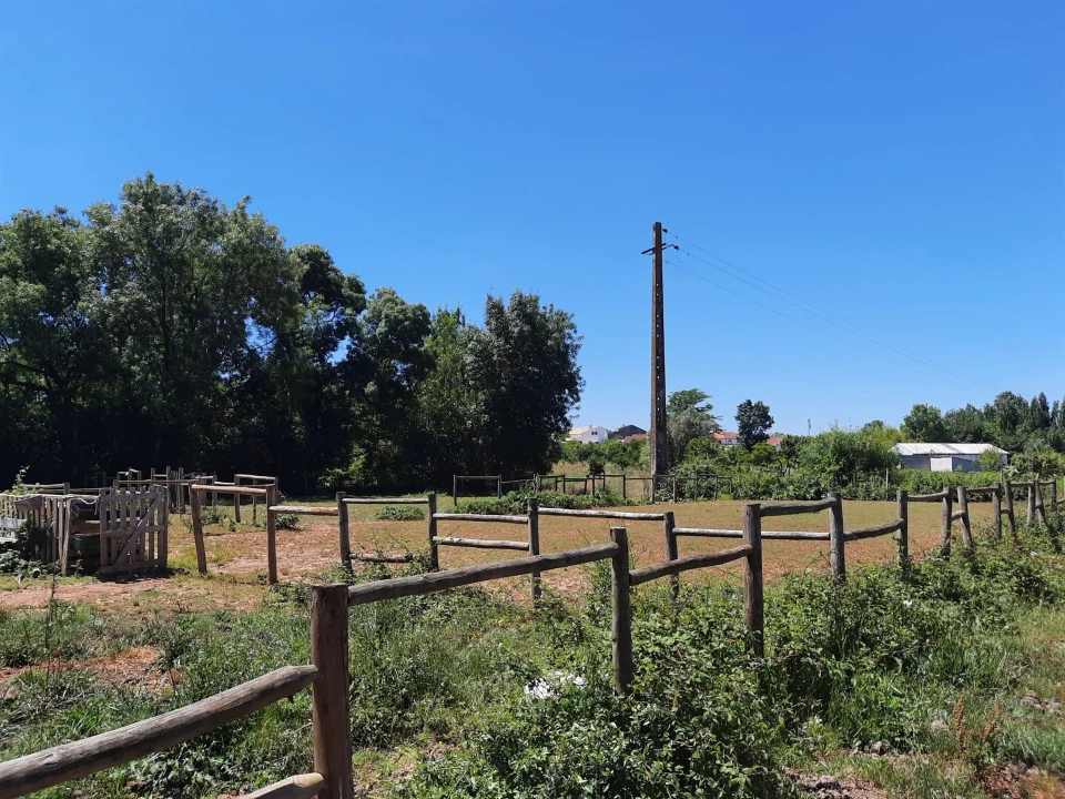 Terreno Agricola ou Rústico para Venda em São Martinho do Bispo e Ribeira de Frades Foto 13