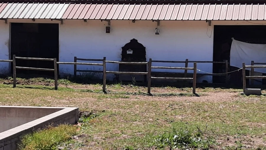 Terreno Agricola ou Rústico para Venda em São Martinho do Bispo e Ribeira de Frades