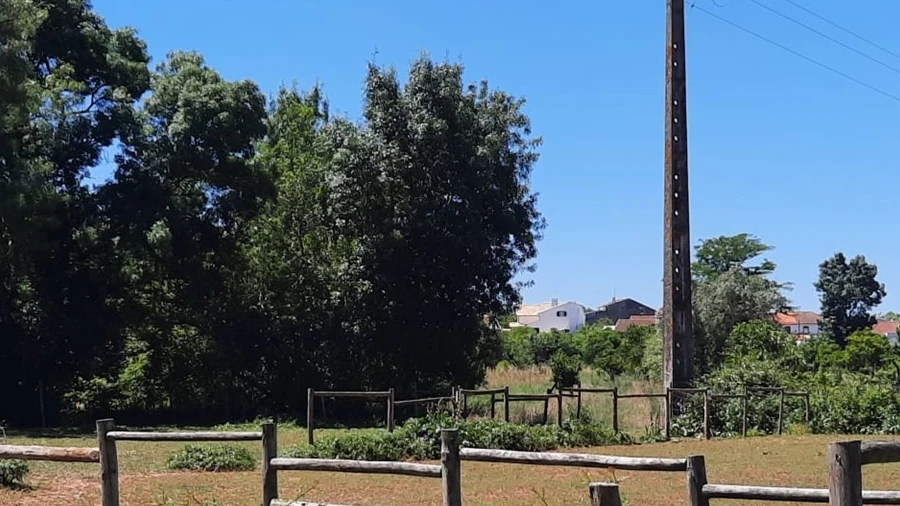 Terreno Agricola ou Rústico para Venda em São Martinho do Bispo e Ribeira de Frades