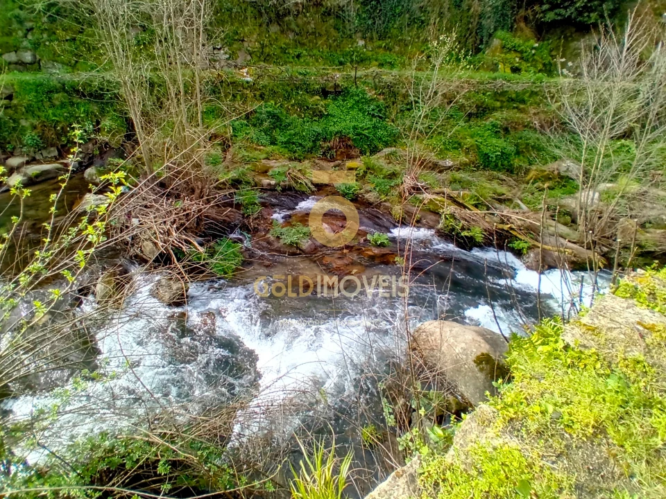 Moradia T0 para Venda em Santa Maria de Sardoura Foto 39