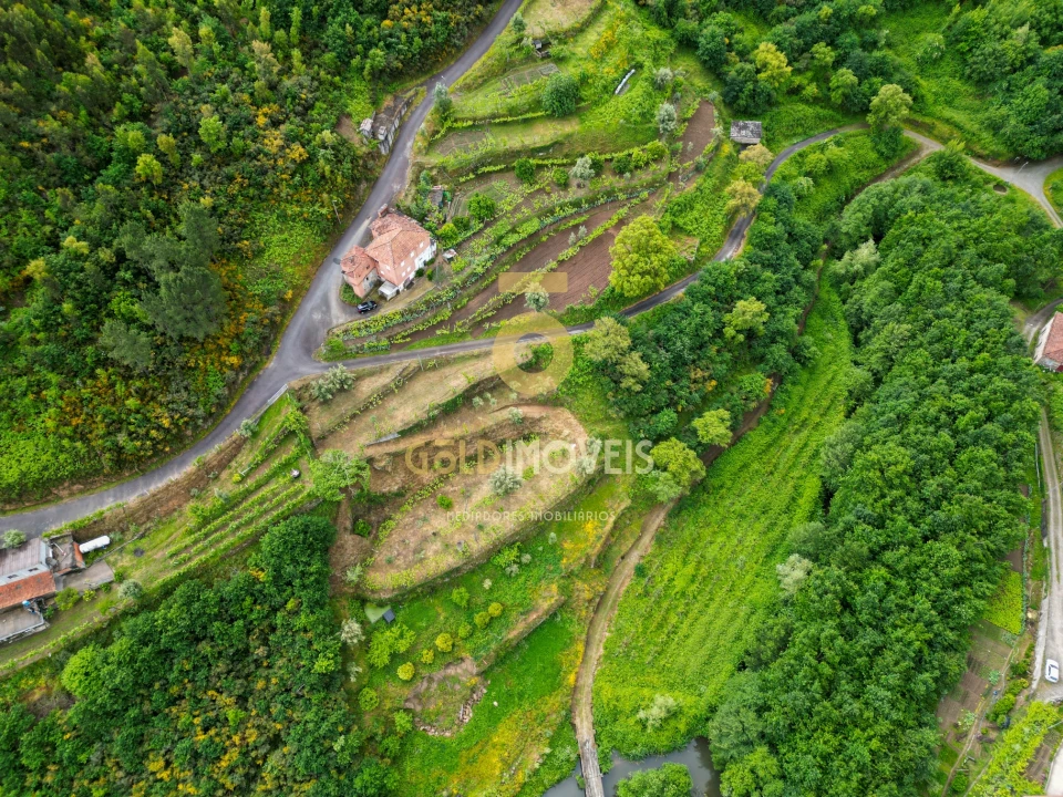Moradia T0 para Venda em Santa Maria de Sardoura Foto 42