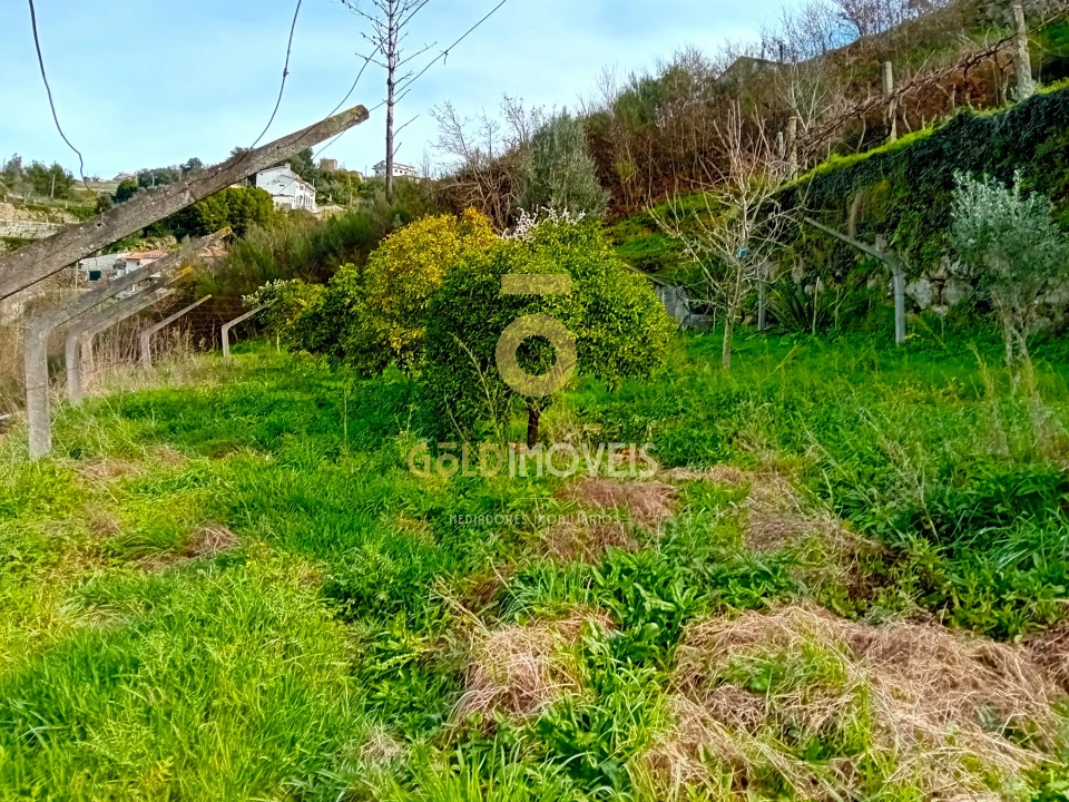 Moradia T0 para Venda em Santa Maria de Sardoura Foto 32
