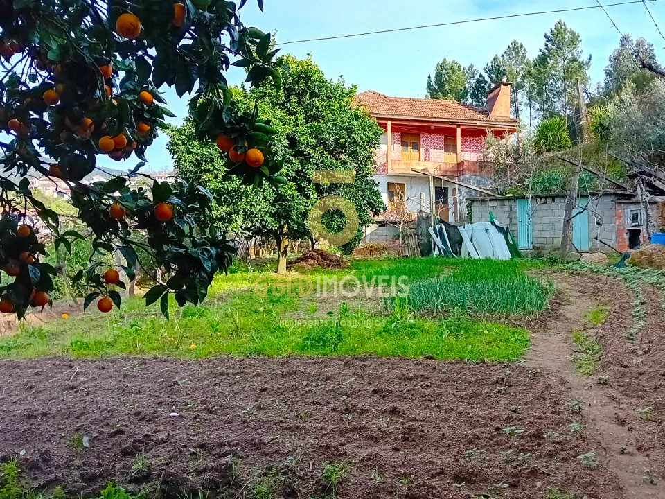 Moradia T0 para Venda em Santa Maria de Sardoura Foto 8