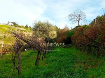 Moradia T0 para Venda em Santa Maria de Sardoura