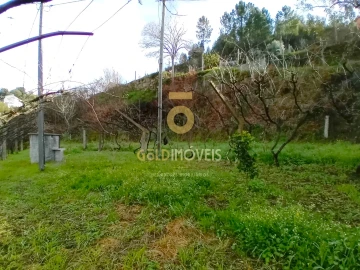 Moradia T0 para Venda em Santa Maria de Sardoura