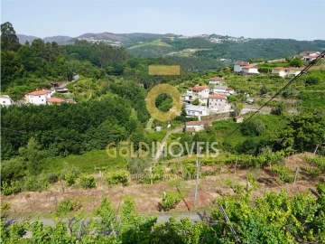 Moradia T0 para Venda em Santa Maria de Sardoura
