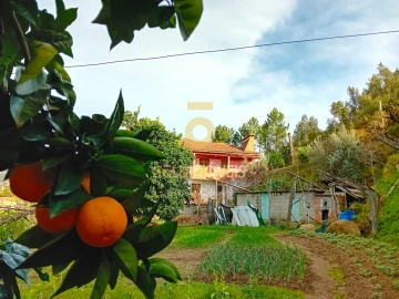 Moradia T0 para Venda em Santa Maria de Sardoura