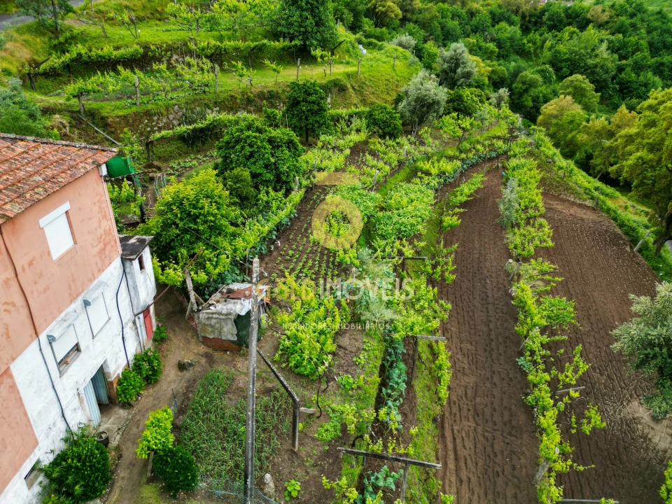 Moradia T0 para Venda em Santa Maria de Sardoura Foto 45