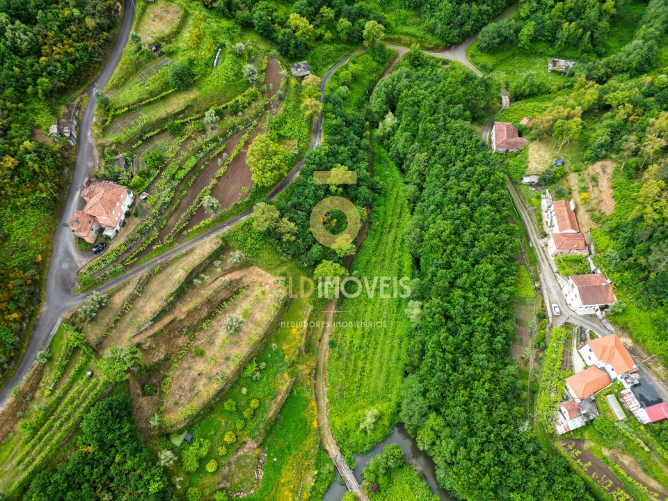Moradia T0 para Venda em Santa Maria de Sardoura Foto 43