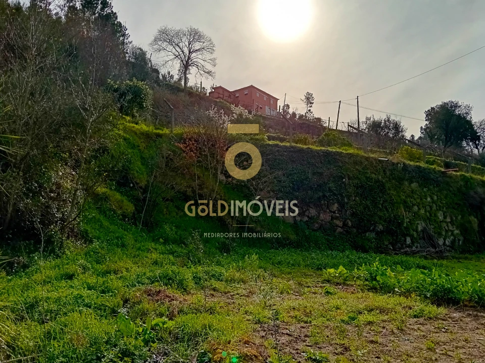 Moradia T0 para Venda em Santa Maria de Sardoura Foto 40