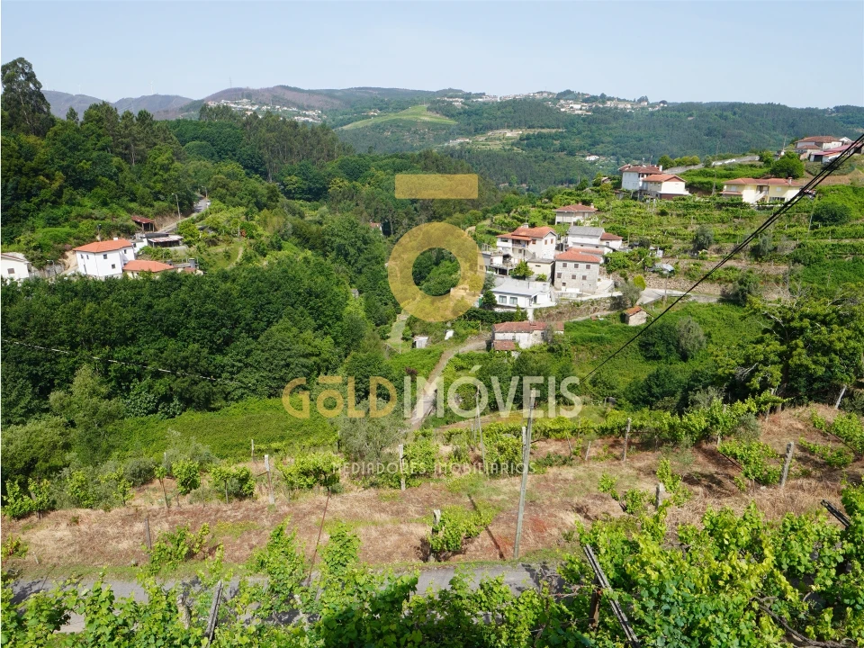 Moradia T0 para Venda em Santa Maria de Sardoura Foto 53
