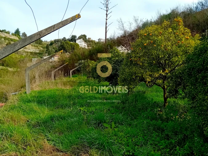 Moradia T0 para Venda em Santa Maria de Sardoura Foto 33