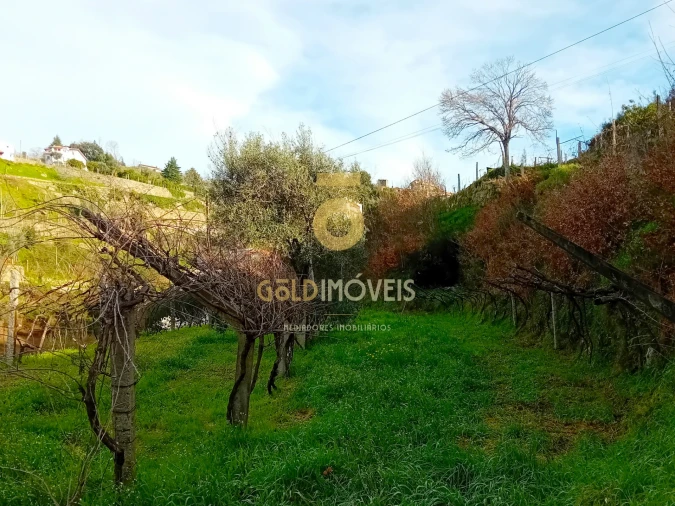 Moradia T0 para Venda em Santa Maria de Sardoura Foto 4