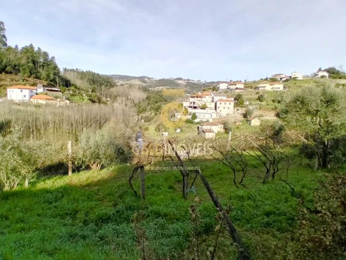Moradia T0 para Venda em Santa Maria de Sardoura Foto 6