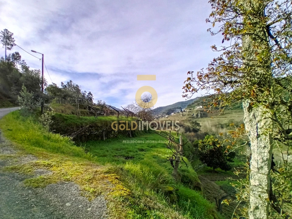 Moradia T0 para Venda em Santa Maria de Sardoura Foto 13