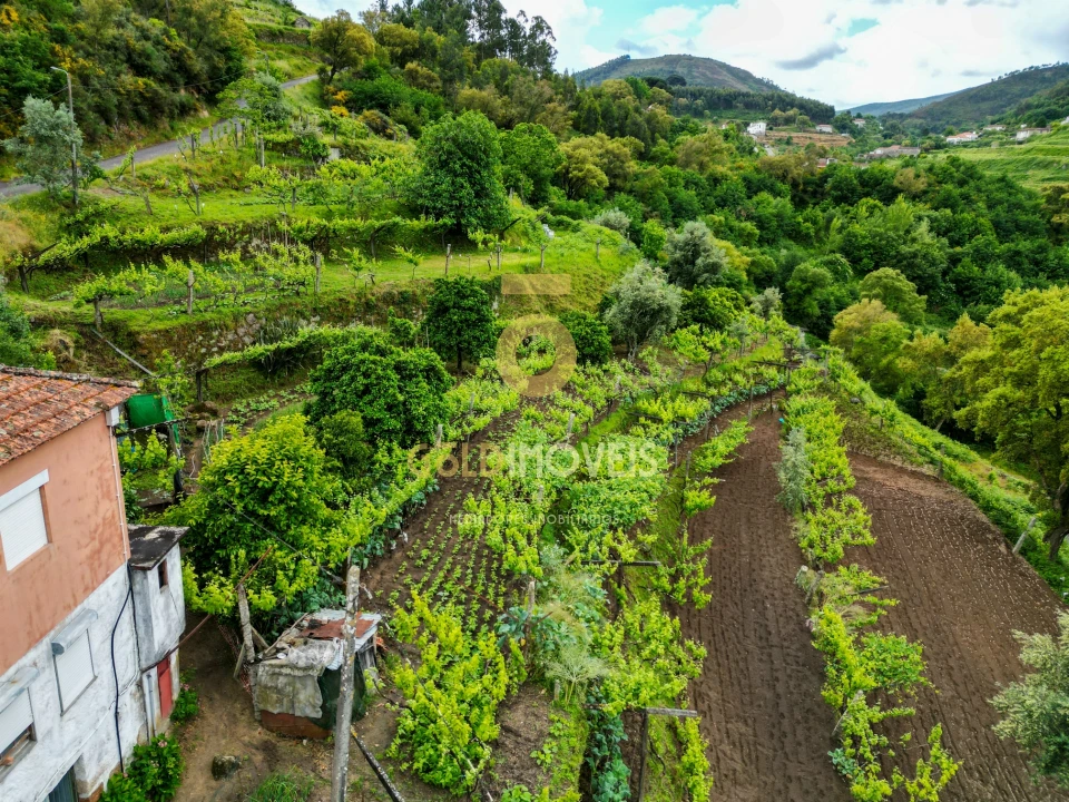 Moradia T0 para Venda em Santa Maria de Sardoura Foto 46