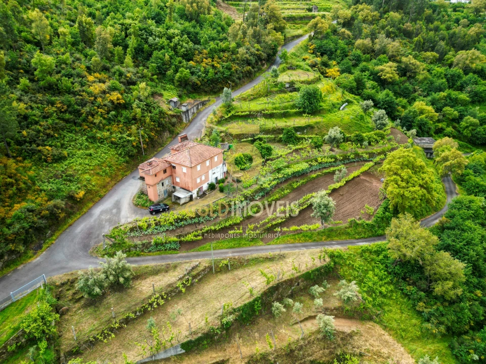 Moradia T0 para Venda em Santa Maria de Sardoura Foto 41